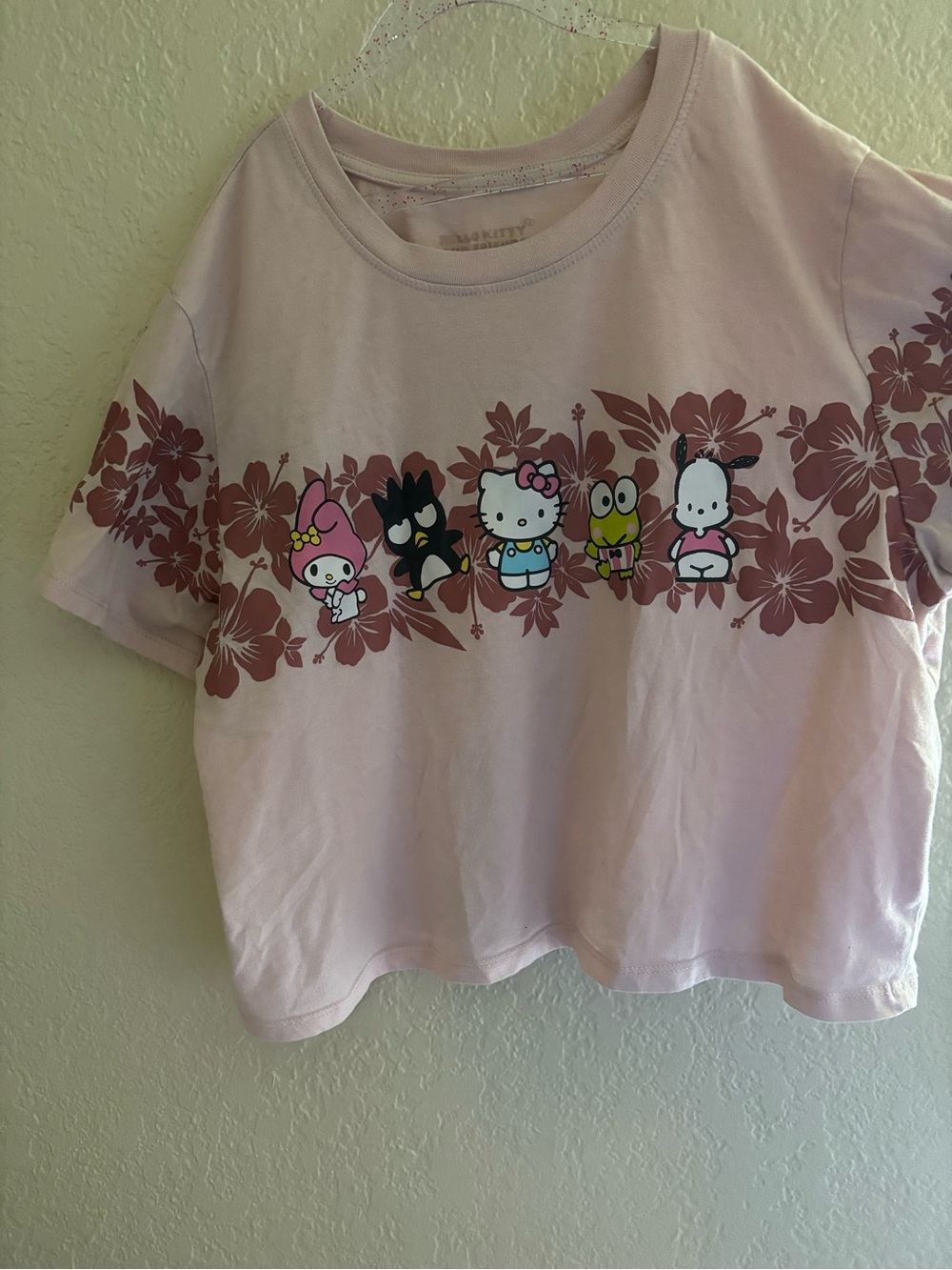 Sanrio Characters Pink Floral Crop Top